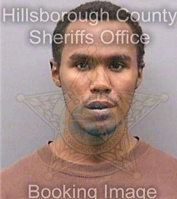 Swaney Arthur - Hillsborough County, FL 