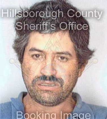 Jimenezrodriguez Daniel - Hillsborough County, FL 