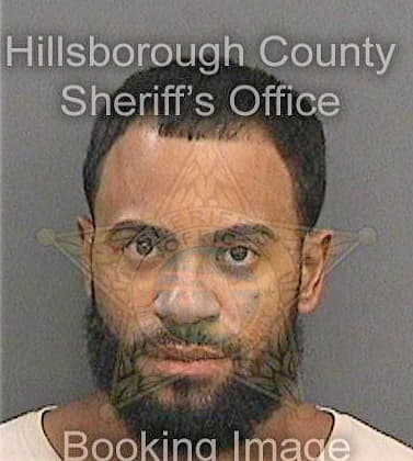 Ferrer Brandon - Hillsborough County, FL 