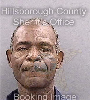 Ellison Alfonso - Hillsborough County, FL 