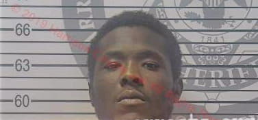 Dexter Devaun - Harrison County, MS 