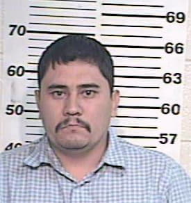 Gonzalez Fabian - Hidalgo County, TX 