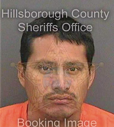 Perezlopez Heriberto - Hillsborough County, FL 