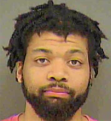 Singletary Damion - Mecklenburg County, NC 