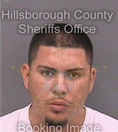 Vasquez Adan - Hillsborough County, FL 