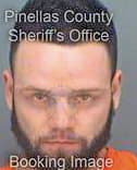 Dullea David - Pinellas County, FL 