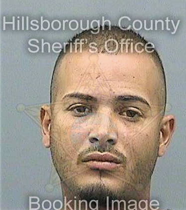 Laportediaz Juan - Hillsborough County, FL 