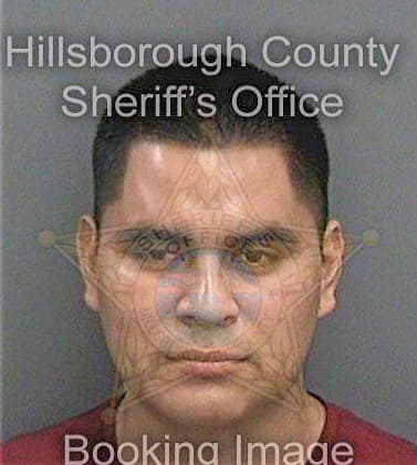 Gomezgomez Marcelino - Hillsborough County, FL 