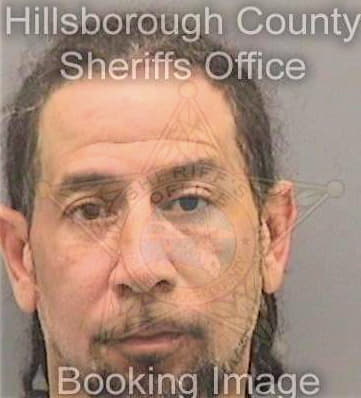 Mccoy William - Hillsborough County, FL 