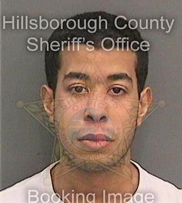 Mendoza Andherson - Hillsborough County, FL 