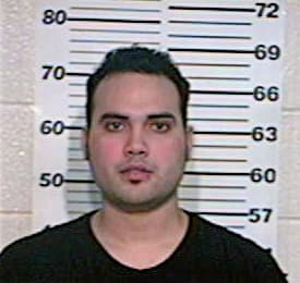 Hernandez Erik - Hidalgo County, TX 