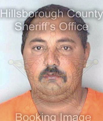 Silva Mario - Hillsborough County, FL 