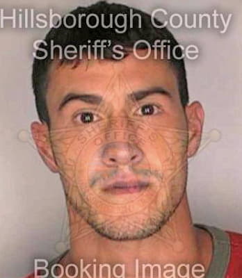 Milian Michael - Hillsborough County, FL 