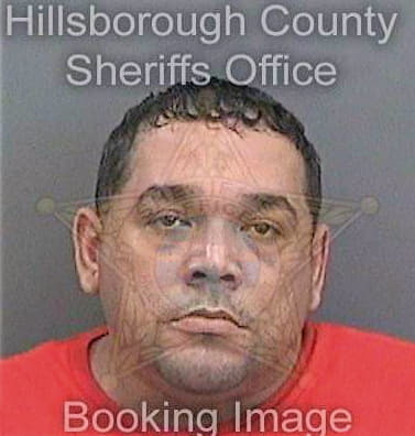 Vargasperez Julio - Hillsborough County, FL 