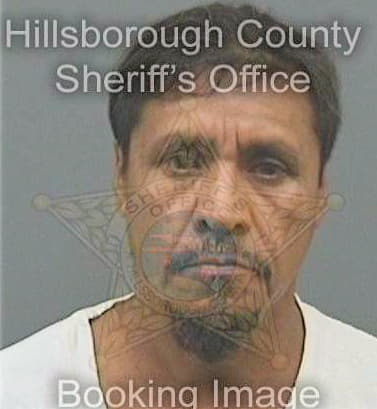 Leonramirez Miguel - Hillsborough County, FL 