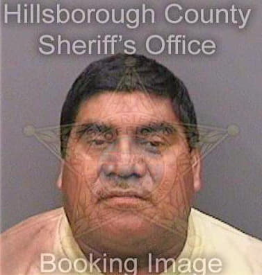 Diazgomez Domingo - Hillsborough County, FL 