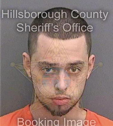 Britt Aaron - Hillsborough County, FL 