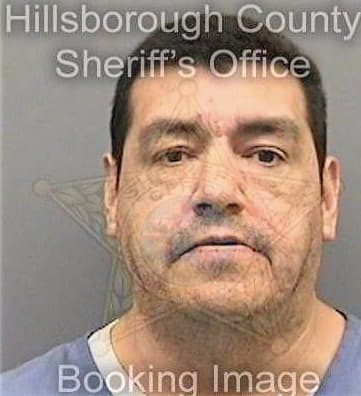 Garcia Ronald - Hillsborough County, FL 