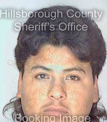 Sanchezarvizu Alejandro - Hillsborough County, FL 