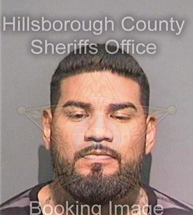 Ramos Menas - Hillsborough County, FL 