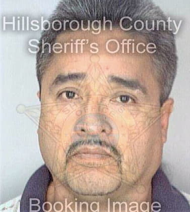 Calvillo Anthony - Hillsborough County, FL 