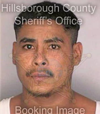 Bravocortez Daniel - Hillsborough County, FL 