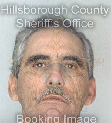 Collazo Jorge - Hillsborough County, FL 