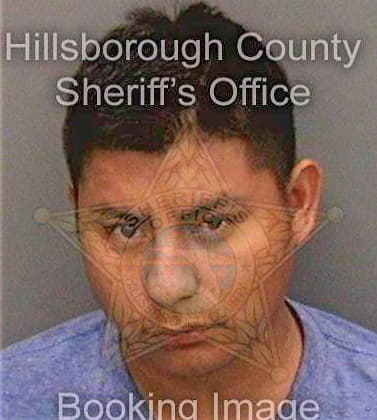 Venturacruz Reynaldo - Hillsborough County, FL 