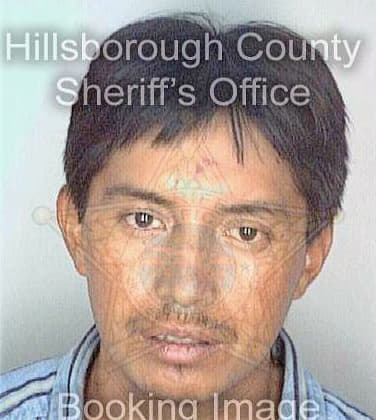 Lopez Daniel - Hillsborough County, FL 