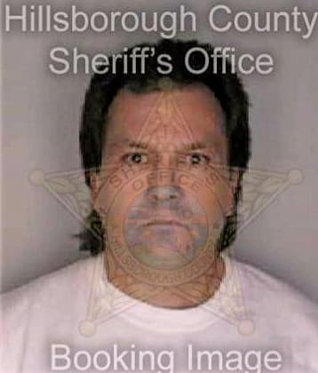 Silva David - Hillsborough County, FL 