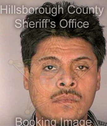 Flores Armando - Hillsborough County, FL 