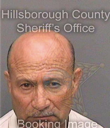 Ramirezgonzalez Arnoldo - Hillsborough County, FL 