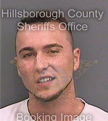 Mcdonald Brandon - Hillsborough County, FL 