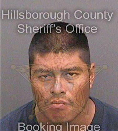 Reynosaantunez Fernando - Hillsborough County, FL 