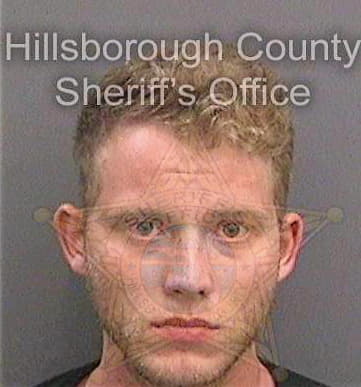 Mesiemore Matthew - Hillsborough County, FL 