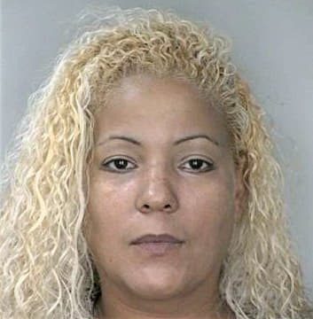 Diaz Milagros - Hillsborough County, FL 