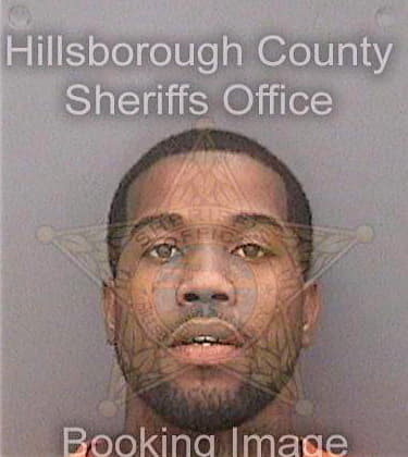 Stanley Lionel - Hillsborough County, FL 