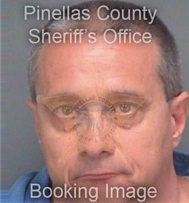 Diaconescu Iuliu - Pinellas County, FL 