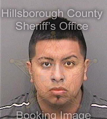 Dothe Adrian - Hillsborough County, FL 