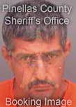 Llera Enrique - Pinellas County, FL 