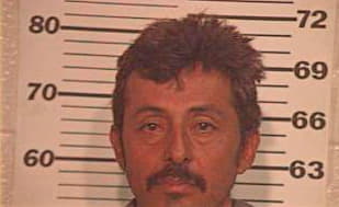 Garcia Homero - Hidalgo County, TX 