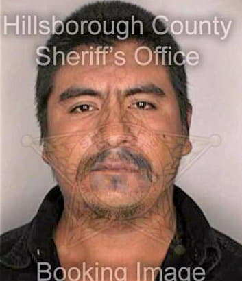 Ojeda Jose - Hillsborough County, FL 