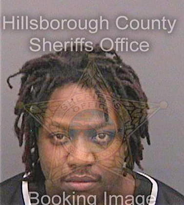 Bronson Joshua - Hillsborough County, FL 