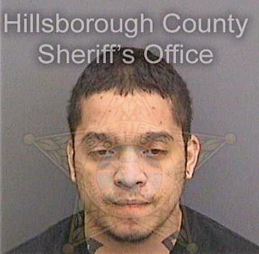 Rangel Carlos - Hillsborough County, FL 