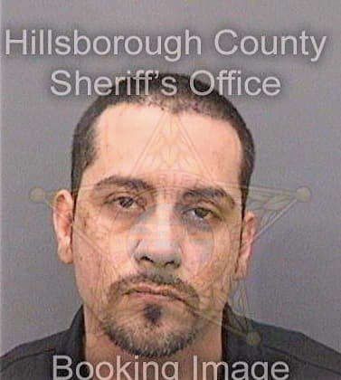 Gonzalez Ediberto - Hillsborough County, FL 