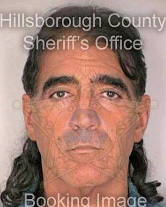 Patino Robert - Hillsborough County, FL 