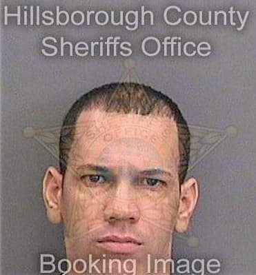 Betancourtpedroso Marlon - Hillsborough County, FL 