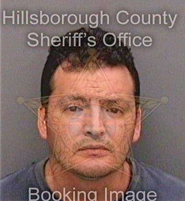 Martinezmartinez Hector - Hillsborough County, FL 