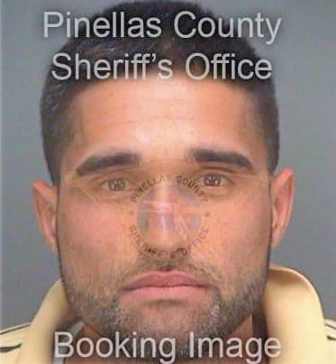 Garcia Ronald - Pinellas County, FL 