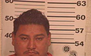 Castellanos David - Hidalgo County, TX 